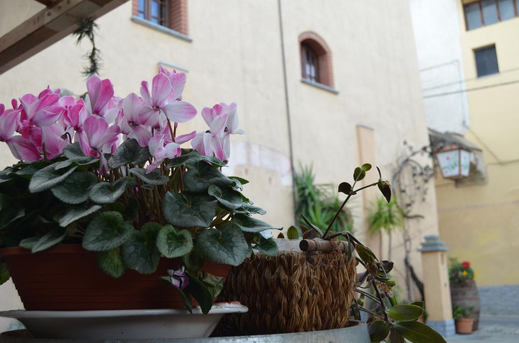 Agriturismo Del Pigato - Bio Vio Albenga Exterior foto